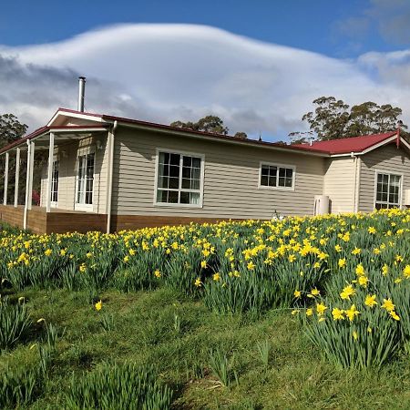 Mountain Blue Guest House Deloraine Buitenkant foto