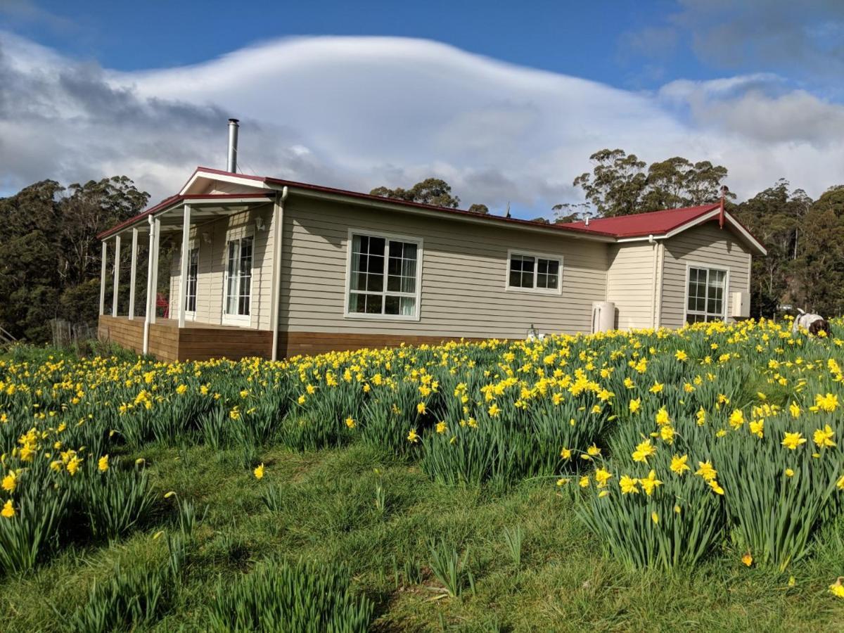 Mountain Blue Guest House Deloraine Buitenkant foto